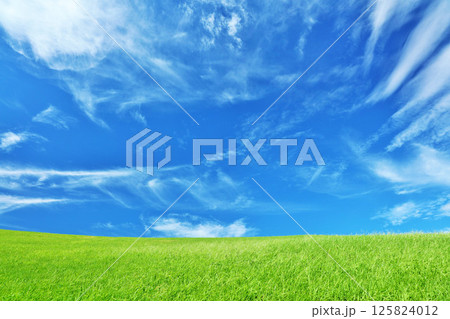 秋の青空と綺麗な草原風景 125824012