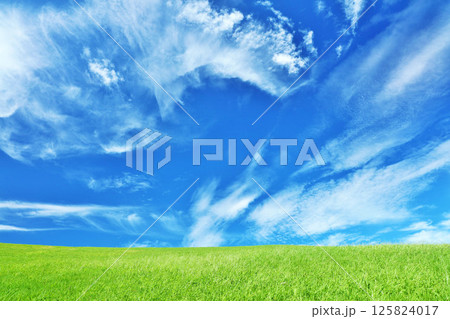 秋の青空と綺麗な草原風景 125824017