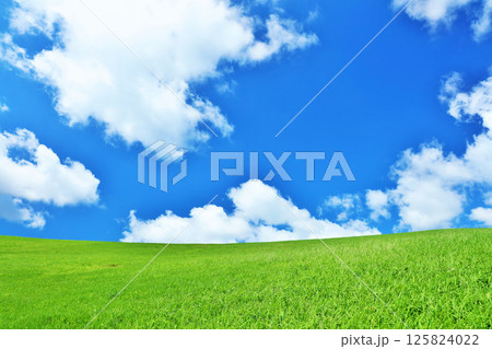 爽やかな夏の青空と新緑の草原風景 125824022
