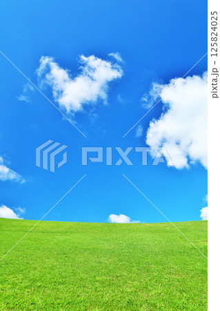 爽やかな夏の青空と新緑の草原風景 爽やかな夏の青空と新緑の草原風景 125824025