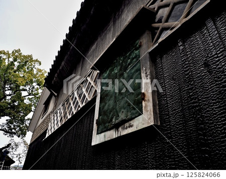 旧野崎家住宅の風景 旧野崎家住宅の風景 125824066