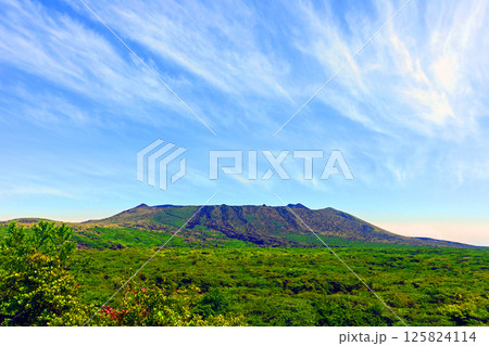 伊豆大島三原山5月 伊豆大島三原山5月 125824114