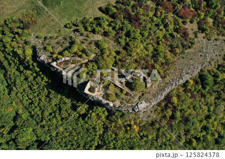 Aerial view of medieval fortification ruins, fortress in the forest 125824378