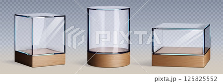 Glass museum display cases with wood bases Glass museum display cases with wood bases 125825552