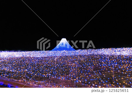 なばなの里　イルミネーション　富士山 125825651
