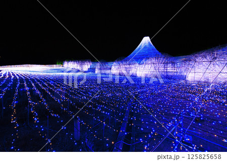 なばなの里　イルミネーション　富士山 125825658