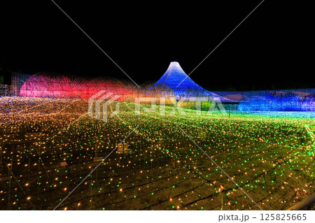 なばなの里　イルミネーション　富士山 125825665