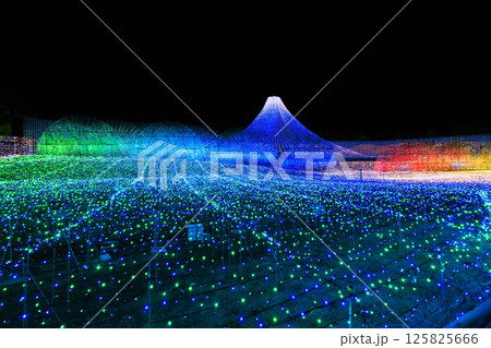 なばなの里　イルミネーション　富士山 125825666