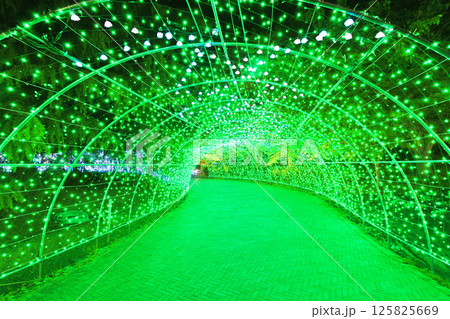 なばなの里 イルミネーション 富士山 なばなの里 イルミネーション 富士山 125825669