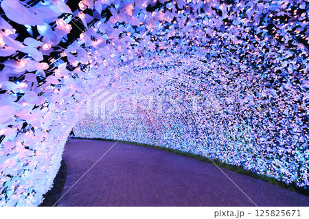 なばなの里　イルミネーション　富士山 125825671