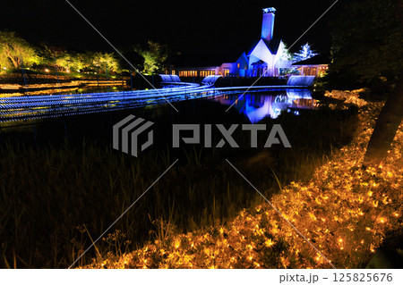 なばなの里 イルミネーション 富士山 なばなの里 イルミネーション 富士山 125825676
