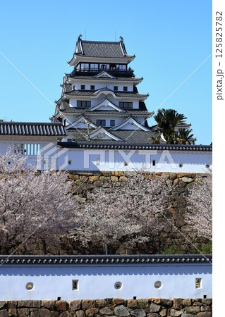 【広島県】桜咲く春の福山城（復興後）福山城桜まつり 125825782