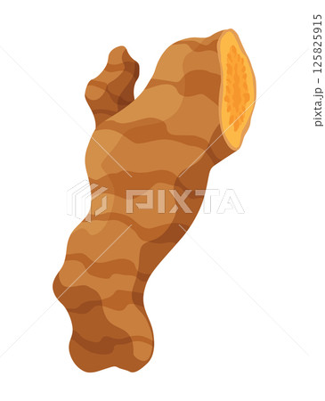 Turmeric root plant, icon. Natural flavor, herbal spice, hand drawn sketch illustration. Detox food ingredient. Vector illustration isolated on white background Turmeric root plant, icon. Natural flavor, herbal spice, hand drawn sketch illustration. Detox food ingredient. Vector illustration isolated on white background 125825915