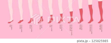 靴下の種類一覧 125825985