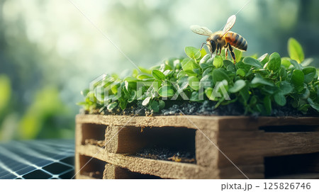 bee pollinates vibrant green plants on wooden pallet in nature bee pollinates vibrant green plants on wooden pallet in nature 125826746