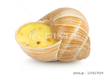 Dijon escargot snail filled with butter, garlic, Dijon mustard and cheese isolated on white background Dijon escargot snail filled with butter, garlic, Dijon mustard and cheese isolated on white background 125827034