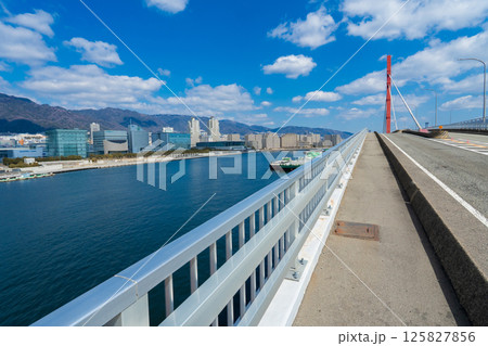 神戸市 神戸港と神戸市中央区の街並みと摩耶大橋 神戸市 神戸港と神戸市中央区の街並みと摩耶大橋 125827856