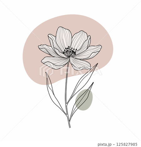 フリーハンドで描かれた花のボタニカルアート フリーハンドで描かれた花のボタニカルアート 125827985
