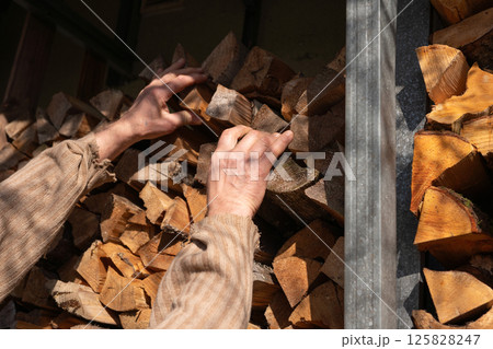 Male hands stacking firewood in the sunlight Male hands stacking firewood in the sunlight 125828247