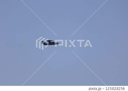 ホークアイの飛行　対空警戒 125828256