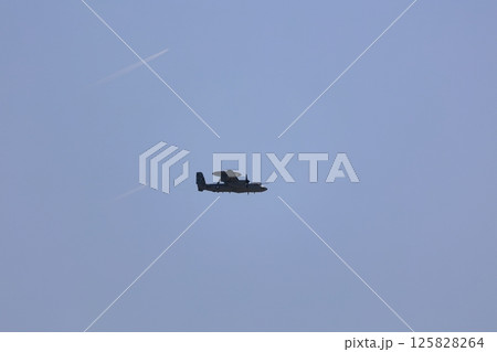 ホークアイの飛行 対空警戒 ホークアイの飛行 対空警戒 125828264