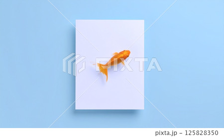 白い紙と泳ぐ金魚 125828350