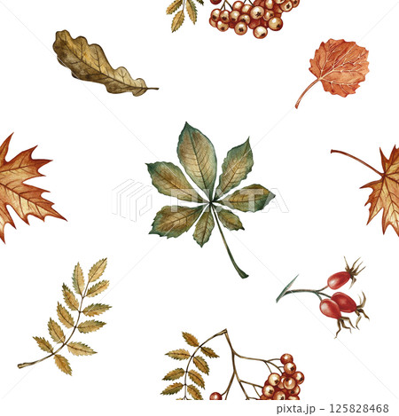Seamless pattern with different autumn floral elements. Handmade watercolor illustration. Color image. Great for packaging, decor, textiles and wallpaper, for printing and wrapping paper. Seamless pattern with different autumn floral elements. Handmade watercolor illustration. Color image. Great for packaging, decor, textiles and wallpaper, for printing and wrapping paper. 125828468