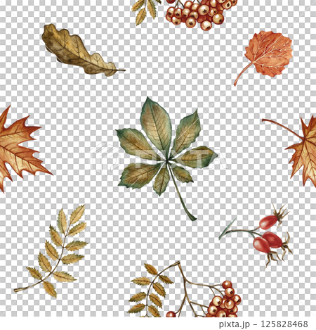 Seamless pattern with different autumn floral elements. Handmade watercolor illustration. Color image. Great for packaging, decor, textiles and wallpaper, for printing and wrapping paper. 125828468