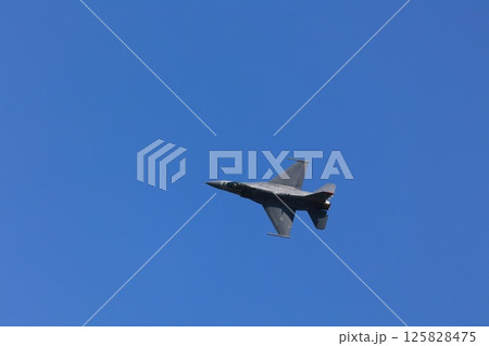 F-16  ファイティング・ファルコン 訓練飛行 125828475