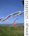 銚子市　名洗海岸　屏風ヶ浦　鯉のぼり 125828912