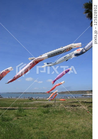 銚子市 名洗海岸 屏風ヶ浦 鯉のぼり 銚子市 名洗海岸 屏風ヶ浦 鯉のぼり 125828912