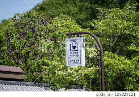 京都市営地下鉄烏丸線 今出川駅の標識と初夏の風景 125829121