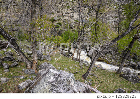 a turbulent, full-flowing mountain river with a fast current. a turbulent, full-flowing mountain river with a fast current. 125829225