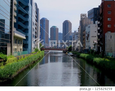 八丁堀 亀島橋から眺める亀島川の向こうの佃島タワマン群 八丁堀 亀島橋から眺める亀島川の向こうの佃島タワマン群 125829259
