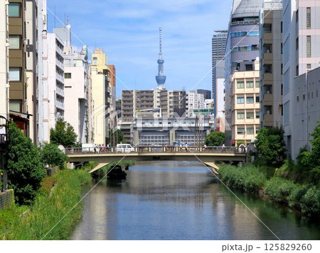 八丁堀 亀島橋から眺める亀島川の向こうの東京スカイツリー 125829260
