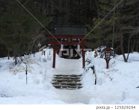 雪に佇む赤鳥居 雪に佇む赤鳥居 125829294