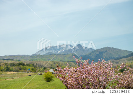 蒜山高原から望む大山 125829438