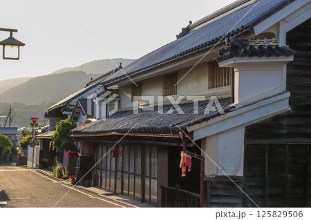 うだつの町並み（徳島県美馬市脇町南町・重要伝統的建造物群保存地区） 125829506