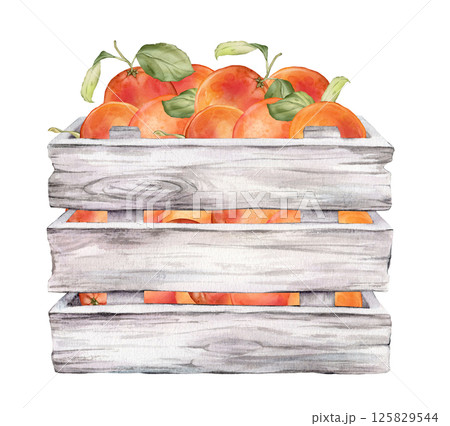 Wooden crate with fresh grapefruit. Farmer's market, healthy eating or tropical fruits theme with Citrus branches. Hand drawn watercolor illustration isolated on white background. 125829544
