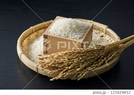 升に盛ったお米 125829652