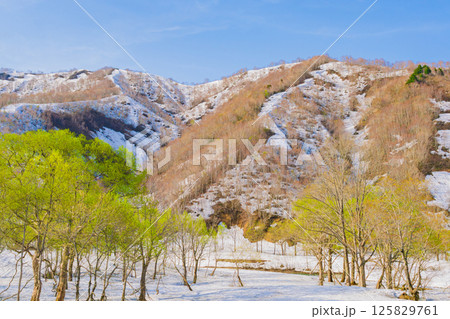 雪国の春、残雪と新緑 125829761