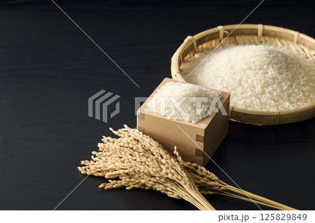 お米のイメージ お米のイメージ 125829849