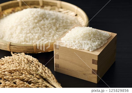 お米のイメージ 125829856