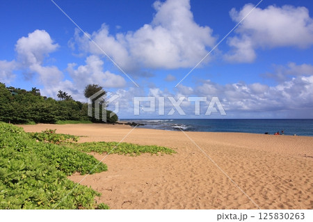 カウアイ島　ハエナ・ビーチ・パーク 125830263