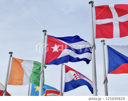 キューバ共和国国旗（写真中央） 125830829