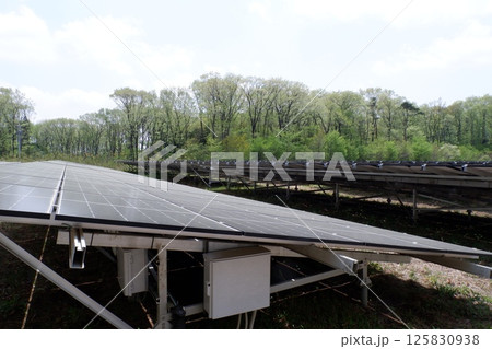 森の中にあるソーラーパネル 125830938