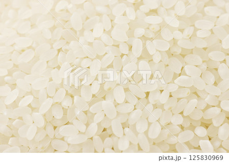 お米のクローズアップ 125830969