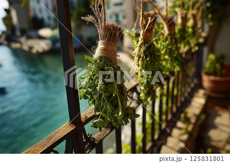 Fresh Oregano Bundles Hung Over Balcony in Coastal Village Breeze 125831801