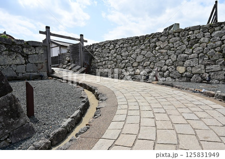 篠山城大書院に続く石畳の道と黒鉄門跡（兵庫県） 125831949