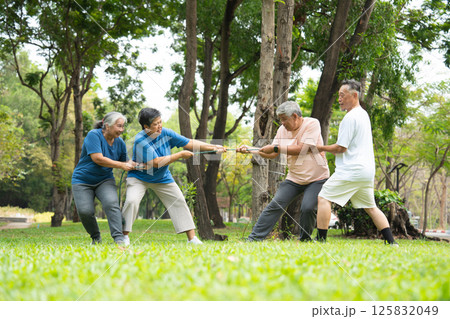 Four cheerful seniors in a friendly tug of war on a vibrant green lawn showcasing their vitality, camaraderie, and Active Seniors lifestyle, enjoying an active and playful moment in a park setting. 125832049